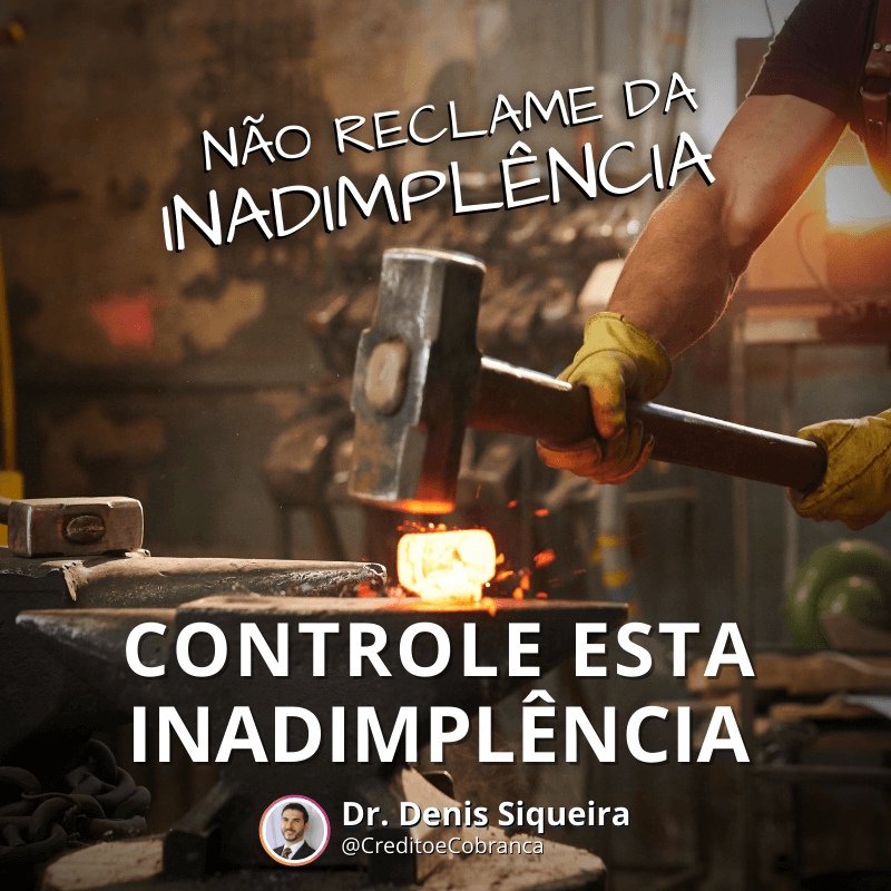 Não reclame da inadimplência, controle esta inadimplência 